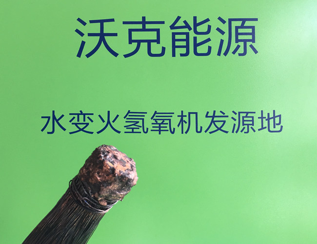 1302根直徑0.7mm漆包線(xiàn)焊接效果圖.jpg