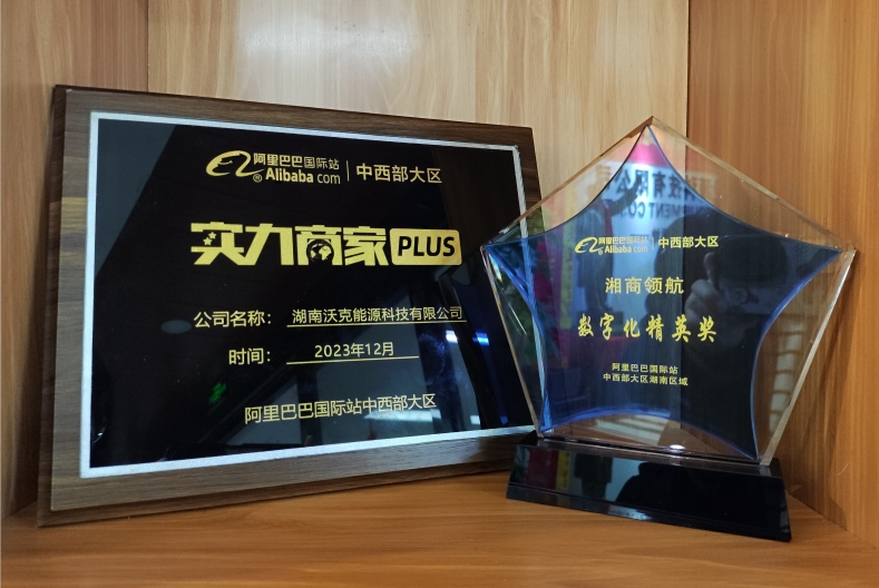 乘風破浪,逆勢出海|沃克能源獲阿里巴巴中西部大區(qū)數(shù)字化精英獎！